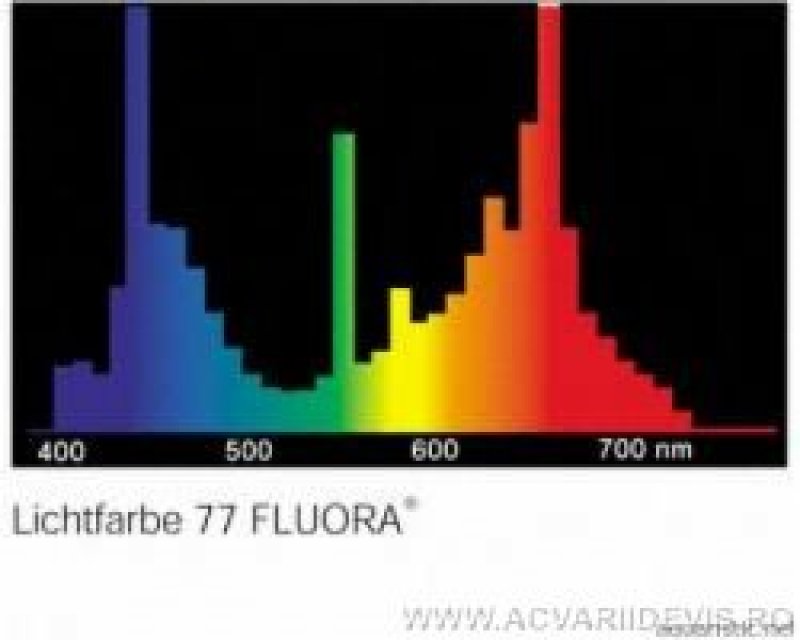 Спектр ламп для растений. Спектр лампы Osram Fluora. Спектр лампы 6500 к Osram. Спектр люминесцентных ламп Osram. Фитолампа Osram Fluora спектр.