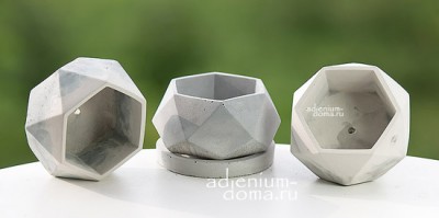 Поступление: СЕМЕНА, БЕТОННЫЕ ГОРШКИ, РАКУШКИ. Исключительно НОВИНКИ!