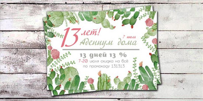 13 процентов 13 дней в честь 13 лет!