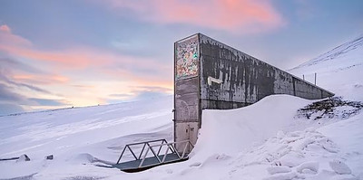 акция