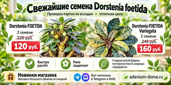 Три хорошие новости сразу!