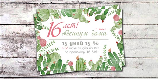 Акция в честь дня рождения сайта: 16 лет — 15% — 15 дней!