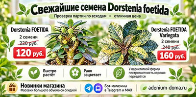 Три хорошие новости сразу!