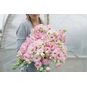 Eustoma ARENA ® FLASH PINK (Эустома, Лизиантус) 4