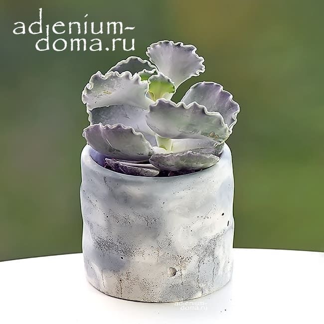 Кликните для увеличения изображения Горшок бетонный КЛАДКА M (Серо-голубой мрамор)