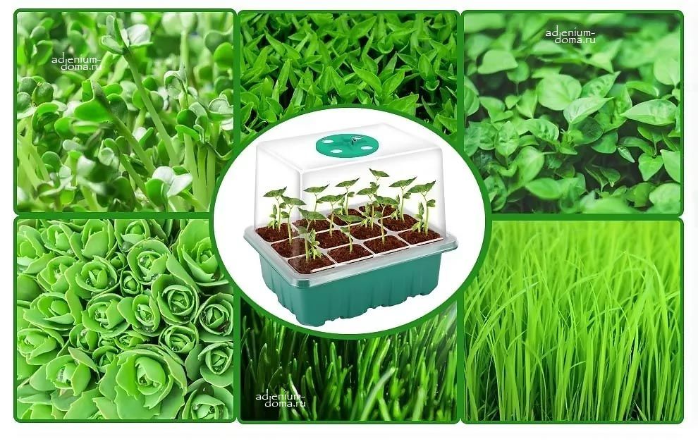 Мини-теплица для проращивания семян с подсветкой и вентиляцией 1