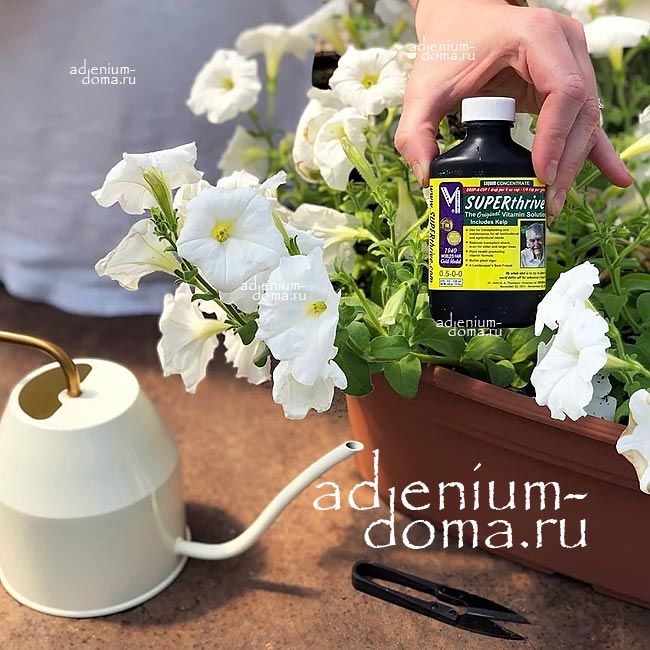 Стимулятор SUPERthrive СуперТрайв Виталайзер 1