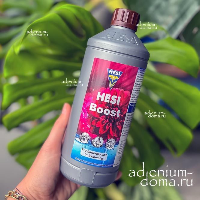 Стимулятор цветения и созревания Hesi BOOST 2