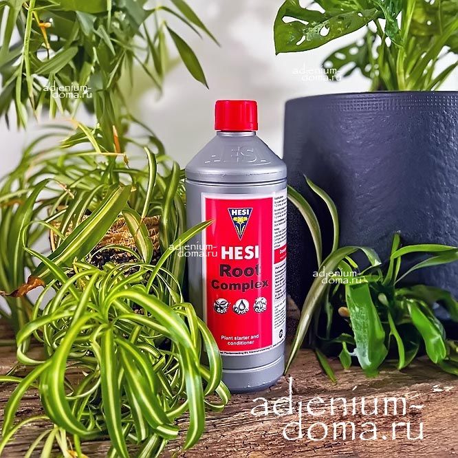 Стимулятор корнеобразования Hesi Root Complex 2
