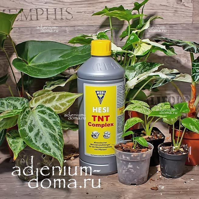 Удобрение для активного роста Hesi TNT Complex 2