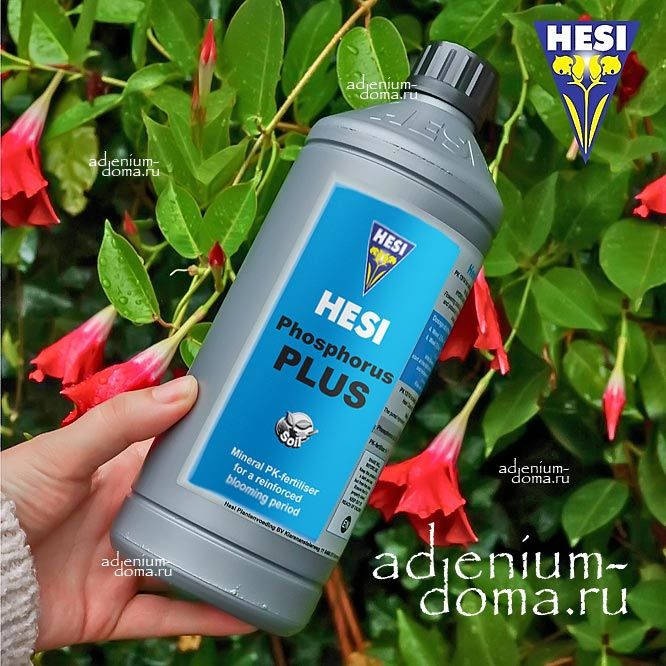 Удобрение для продолжительного цветения Hesi PHOSPHORUS Plus 2