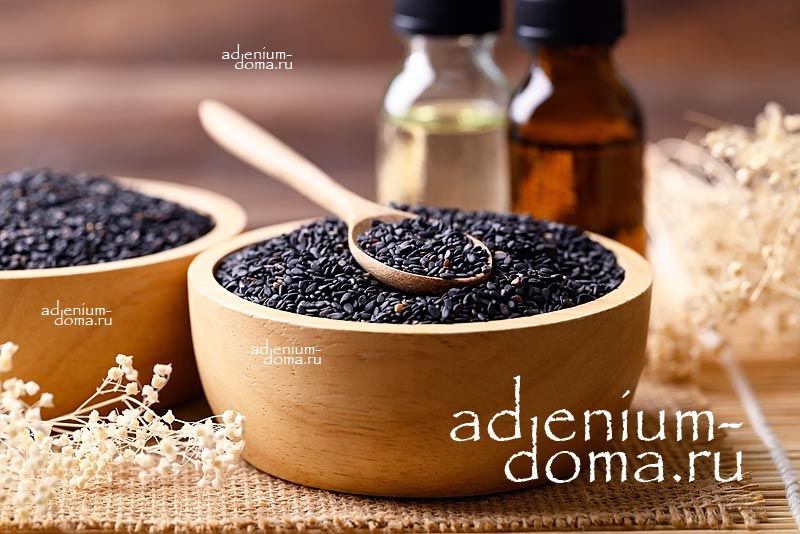 Sesamum INDICUM BLACK Кунжут индийский черный Сезам восточный Бенне Симсим Тил Джинжели 3