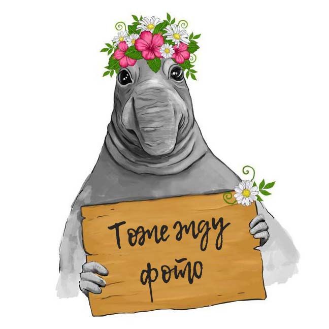 Sonerila PULCHELLA (Сонерила)