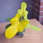 Растение ⌀ 6 Philodendron 'GOLDEN VIOLIN' (Филодендрон) 3