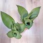 Растение ⌀ 9 Sansevieria 'MOONSHINE' (Сансевьера, Сансевиерия) 3