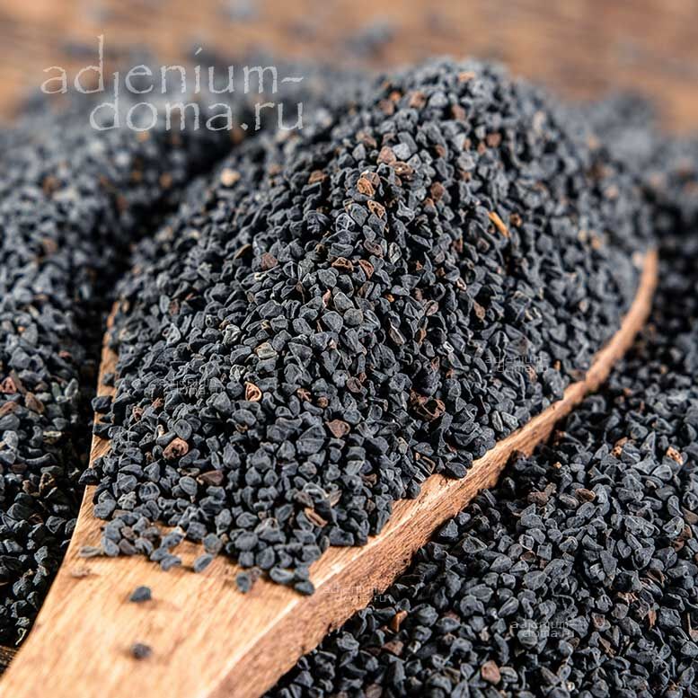 Corchorus CAPSULARIS White Jute Белый Джут короткоплодный Корхорус Капсуларис 1