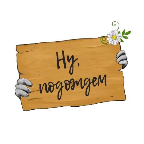 Растение Fenestraria RHOPALOPHYLLA Mesembryanthemum Baby Toes Window Plant Фенестрария булаволистная Ропалофилла 2